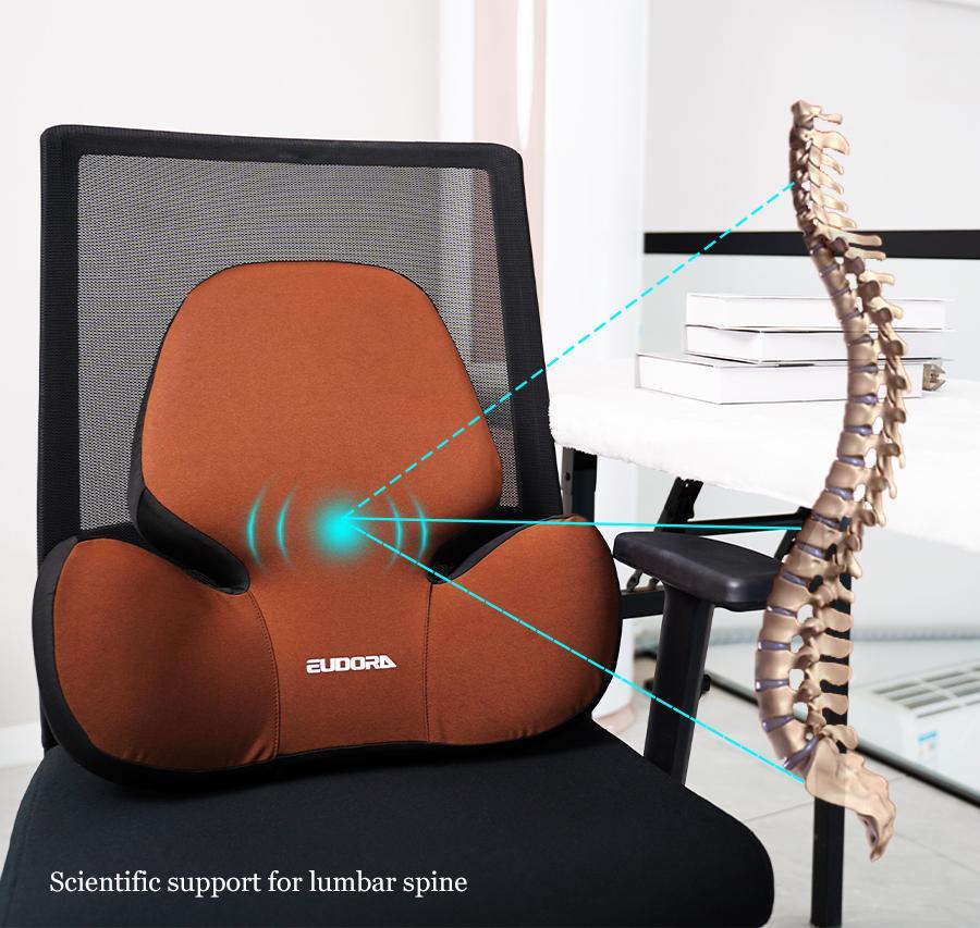Discover The Ultimate Comfort Of The Butterfly-design Lumbar Cushion